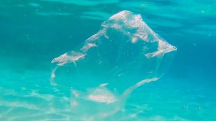 塑料杯中的蟲(chóng)食革命 以生物科技終結(jié)白色污染